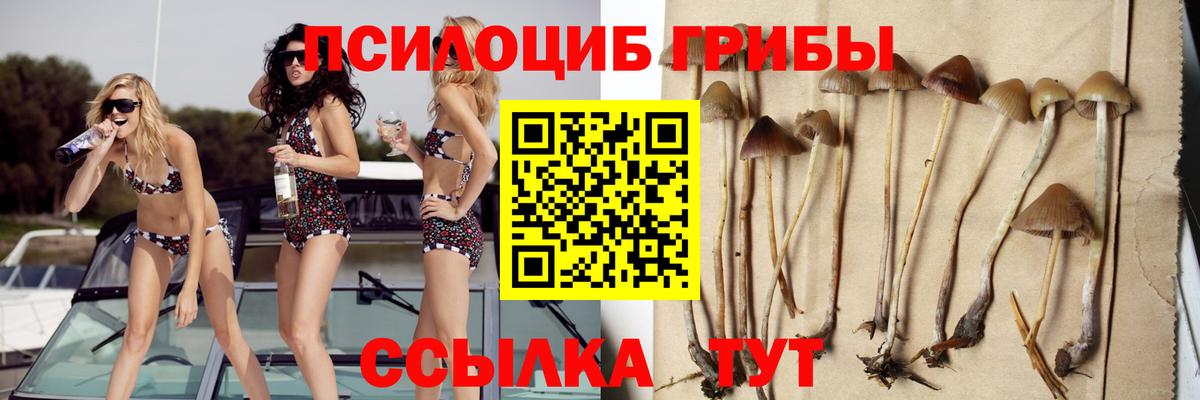 Галлюциногенные грибы Magic Shrooms Орёл